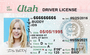 UT DMV driver's license